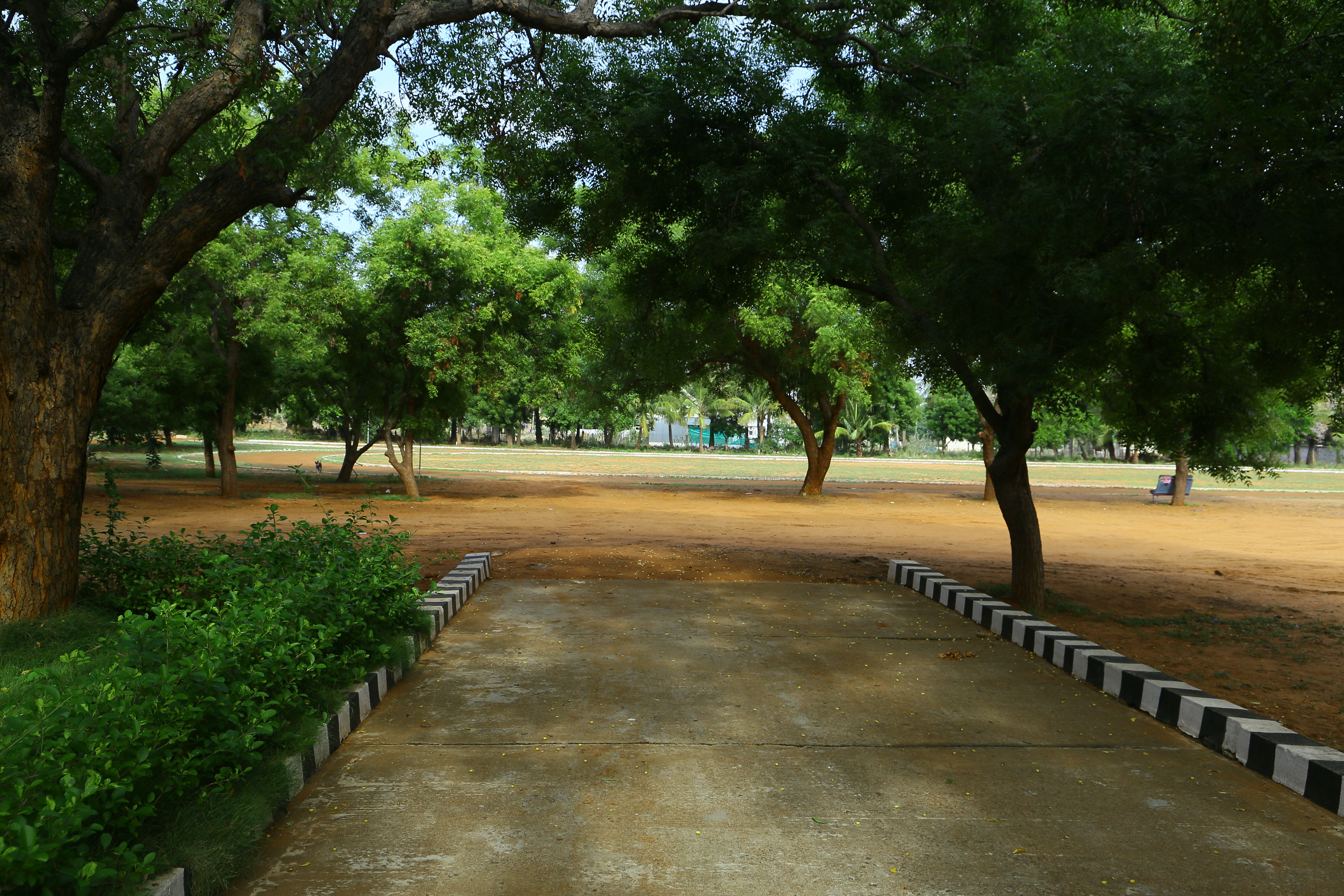 Ground